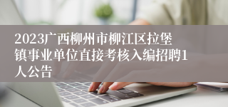 2023广西柳州市柳江区拉堡镇事业单位直接考核入编招聘1人公告