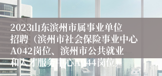 2023山东滨州市属事业单位招聘（滨州市社会保险事业中心A042岗位、滨州市公共就业和人才服务中心A044岗位）