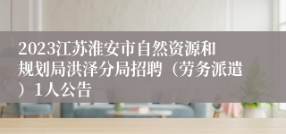 2023江苏淮安市自然资源和规划局洪泽分局招聘（劳务派遣）1人公告