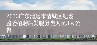 2023广东清远市清城区纪委监委招聘后勤服务类人员3人公告