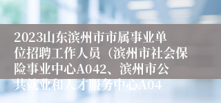 2023山东滨州市市属事业单位招聘工作人员（滨州市社会保险事业中心A042、滨州市公共就业和人才服务中心A04
