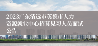 2023广东清远市英德市人力资源就业中心招募见习人员面试公告