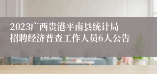 2023广西贵港平南县统计局招聘经济普查工作人员6人公告