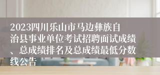 2023四川乐山市马边彝族自治县事业单位考试招聘面试成绩、总成绩排名及总成绩最低分数线公告