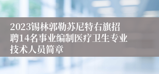 2023锡林郭勒苏尼特右旗招聘14名事业编制医疗卫生专业技术人员简章 