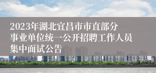 2023年湖北宜昌市市直部分事业单位统一公开招聘工作人员集中面试公告