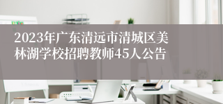 2023年广东清远市清城区美林湖学校招聘教师45人公告