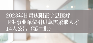 2023年甘肃庆阳正宁县医疗卫生事业单位引进急需紧缺人才14人公告（第二批）