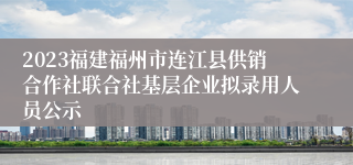 2023福建福州市连江县供销合作社联合社基层企业拟录用人员公示