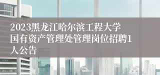 2023黑龙江哈尔滨工程大学国有资产管理处管理岗位招聘1人公告