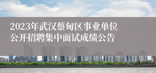 2023年武汉蔡甸区事业单位公开招聘集中面试成绩公告