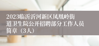 2023临沂沂河新区凤凰岭街道卫生院公开招聘部分工作人员简章（3人）