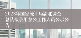 2023年国家统计局湖北调查总队拟录用参公工作人员公示公告