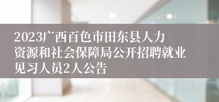 2023广西百色市田东县人力资源和社会保障局公开招聘就业见习人员2人公告