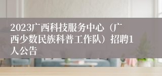 2023广西科技服务中心（广西少数民族科普工作队）招聘1人公告