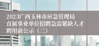 2023广西玉林市应急管理局直属事业单位招聘急需紧缺人才聘用前公示（二）