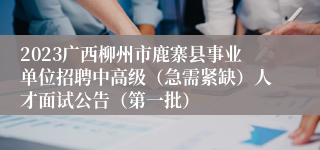 2023广西柳州市鹿寨县事业单位招聘中高级（急需紧缺）人才面试公告（第一批）