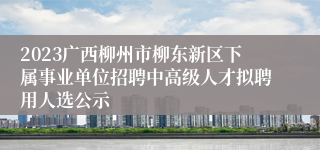 2023广西柳州市柳东新区下属事业单位招聘中高级人才拟聘用人选公示