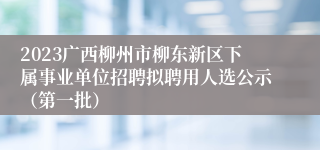 2023广西柳州市柳东新区下属事业单位招聘拟聘用人选公示（第一批）