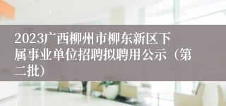 2023广西柳州市柳东新区下属事业单位招聘拟聘用公示（第二批）