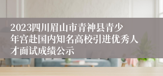 2023四川眉山市青神县青少年宫赴国内知名高校引进优秀人才面试成绩公示
