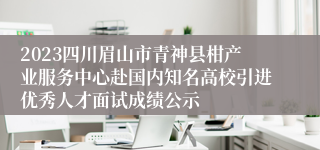 2023四川眉山市青神县柑产业服务中心赴国内知名高校引进优秀人才面试成绩公示