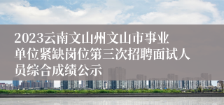 2023云南文山州文山市事业单位紧缺岗位第三次招聘面试人员综合成绩公示