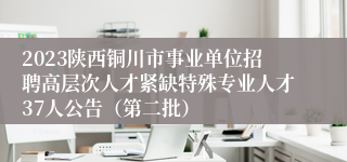 2023陕西铜川市事业单位招聘高层次人才紧缺特殊专业人才37人公告（第二批）