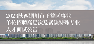 2023陕西铜川市王益区事业单位招聘高层次及紧缺特殊专业人才面试公告