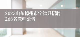 2023山东德州市宁津县招聘268名教师公告