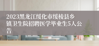 2023黑龙江绥化市绥棱县乡镇卫生院招聘医学毕业生5人公告