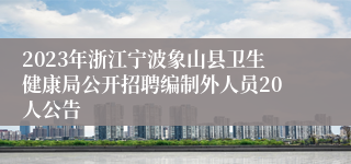 2023年浙江宁波象山县卫生健康局公开招聘编制外人员20人公告