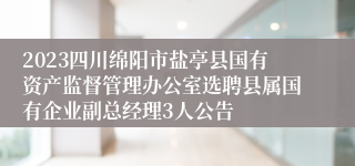 2023四川绵阳市盐亭县国有资产监督管理办公室选聘县属国有企业副总经理3人公告