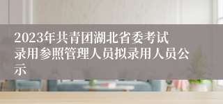 2023年共青团湖北省委考试录用参照管理人员拟录用人员公示