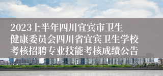 2023上半年四川宜宾市卫生健康委员会四川省宜宾卫生学校考核招聘专业技能考核成绩公告