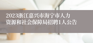 2023浙江嘉兴市海宁市人力资源和社会保障局招聘1人公告