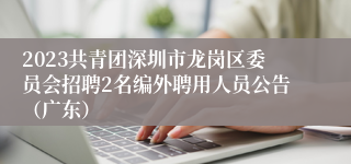 2023共青团深圳市龙岗区委员会招聘2名编外聘用人员公告（广东）