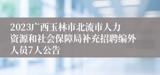 2023广西玉林市北流市人力资源和社会保障局补充招聘编外人员7人公告