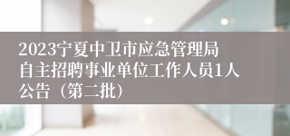 2023宁夏中卫市应急管理局自主招聘事业单位工作人员1人公告（第二批）