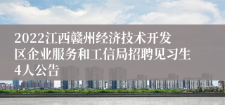 2022江西赣州经济技术开发区企业服务和工信局招聘见习生4人公告