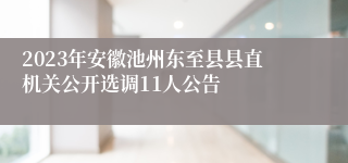 2023年安徽池州东至县县直机关公开选调11人公告