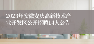 2023年安徽安庆高新技术产业开发区公开招聘14人公告