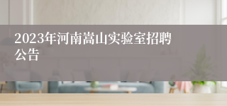 2023年河南嵩山实验室招聘公告