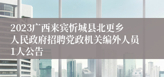 2023广西来宾忻城县北更乡人民政府招聘党政机关编外人员1人公告