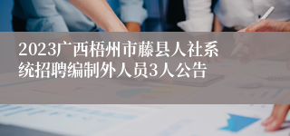 2023广西梧州市藤县人社系统招聘编制外人员3人公告