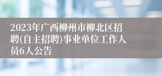 2023年广西柳州市柳北区招聘(自主招聘)事业单位工作人员6人公告