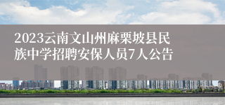 2023云南文山州麻栗坡县民族中学招聘安保人员7人公告