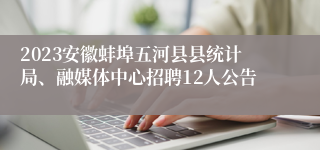 2023安徽蚌埠五河县县统计局、融媒体中心招聘12人公告