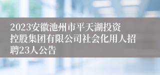 2023安徽池州市平天湖投资控股集团有限公司社会化用人招聘23人公告