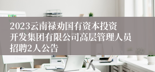 2023云南禄劝国有资本投资开发集团有限公司高层管理人员招聘2人公告